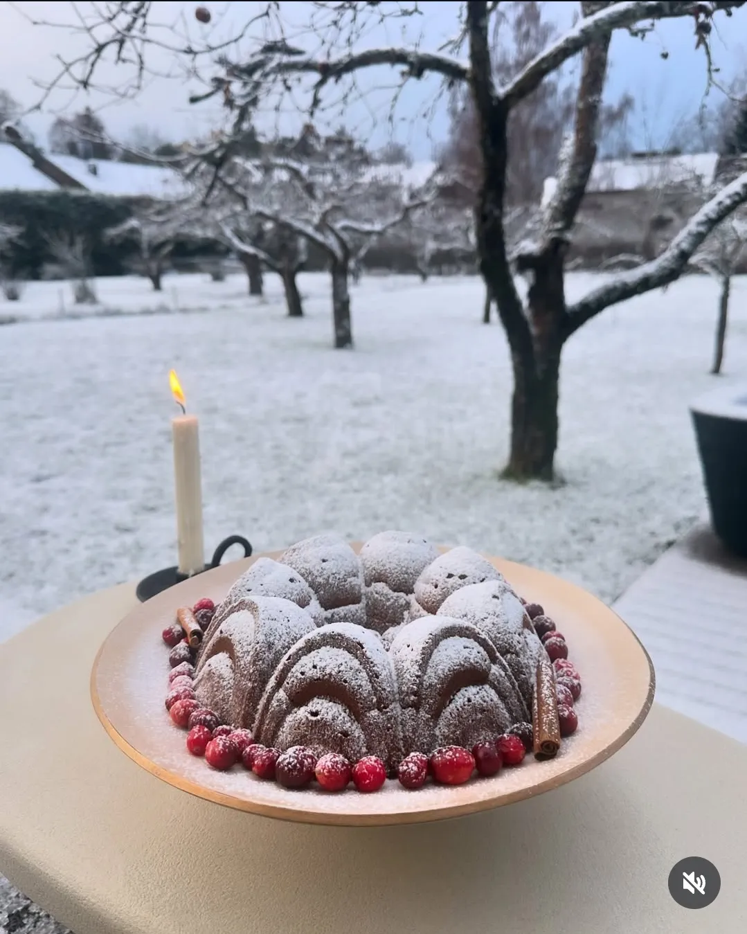 Apple Juice Spice Cake