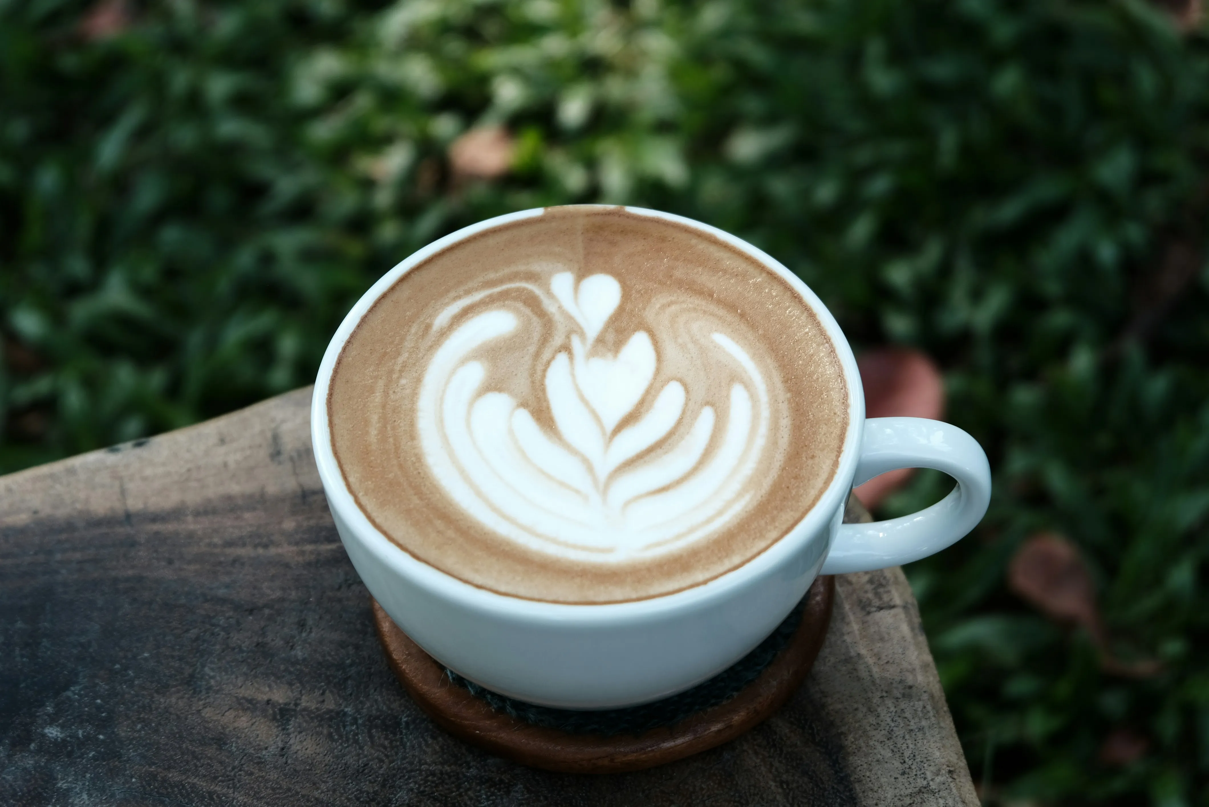 Lavender Latte
